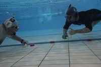 IMG_0030.jpg